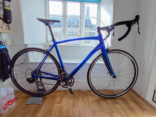 Raleigh revenio carbon - raleigh,